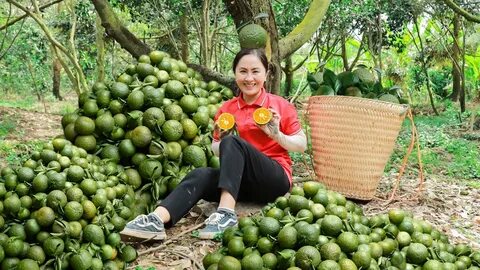Tiền đạo Brazil lập công, áp sát vị trí số 1 của Tiến Linh_Video ngắn TikTok
