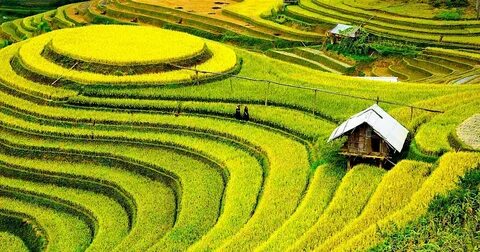 Hotspot Matrix và Cửa hàng không nhận chuyển khoản để 